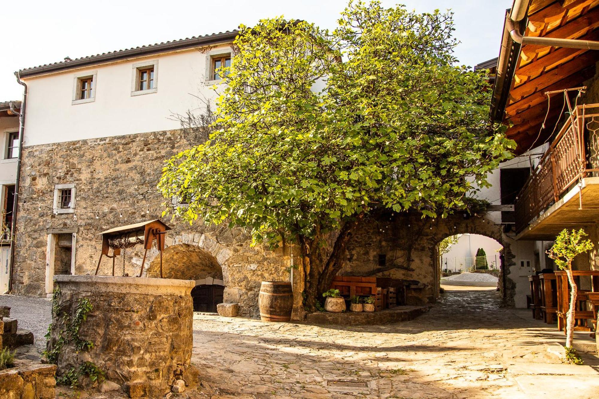 Boutique Rooms & Winery Zorz Vipava Ngoại thất bức ảnh