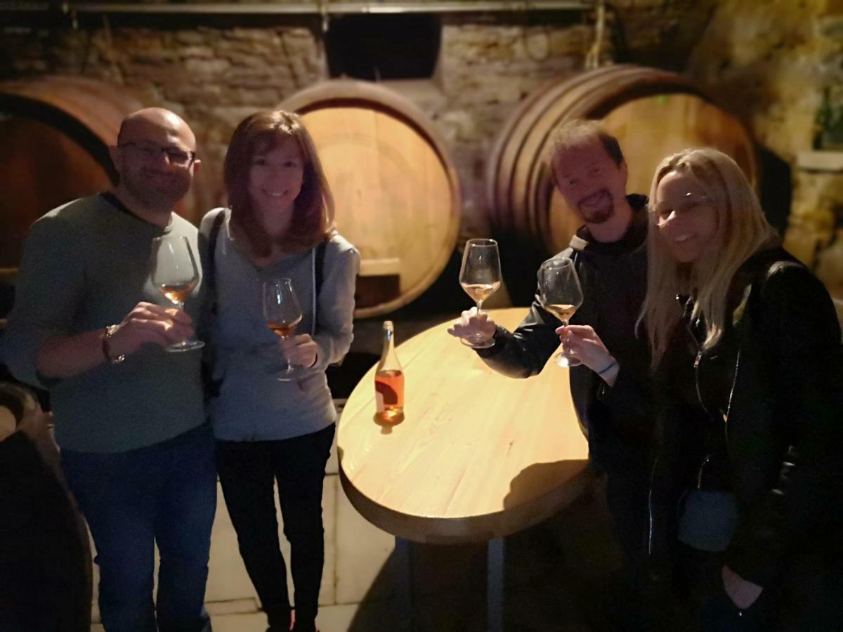 Boutique Rooms & Winery Zorz Vipava Ngoại thất bức ảnh